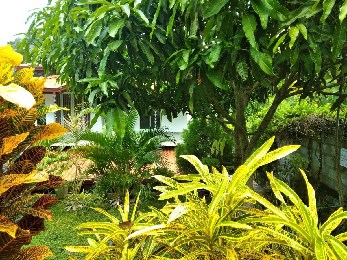 טנגלה Sandhara Home Stay מראה חיצוני תמונה