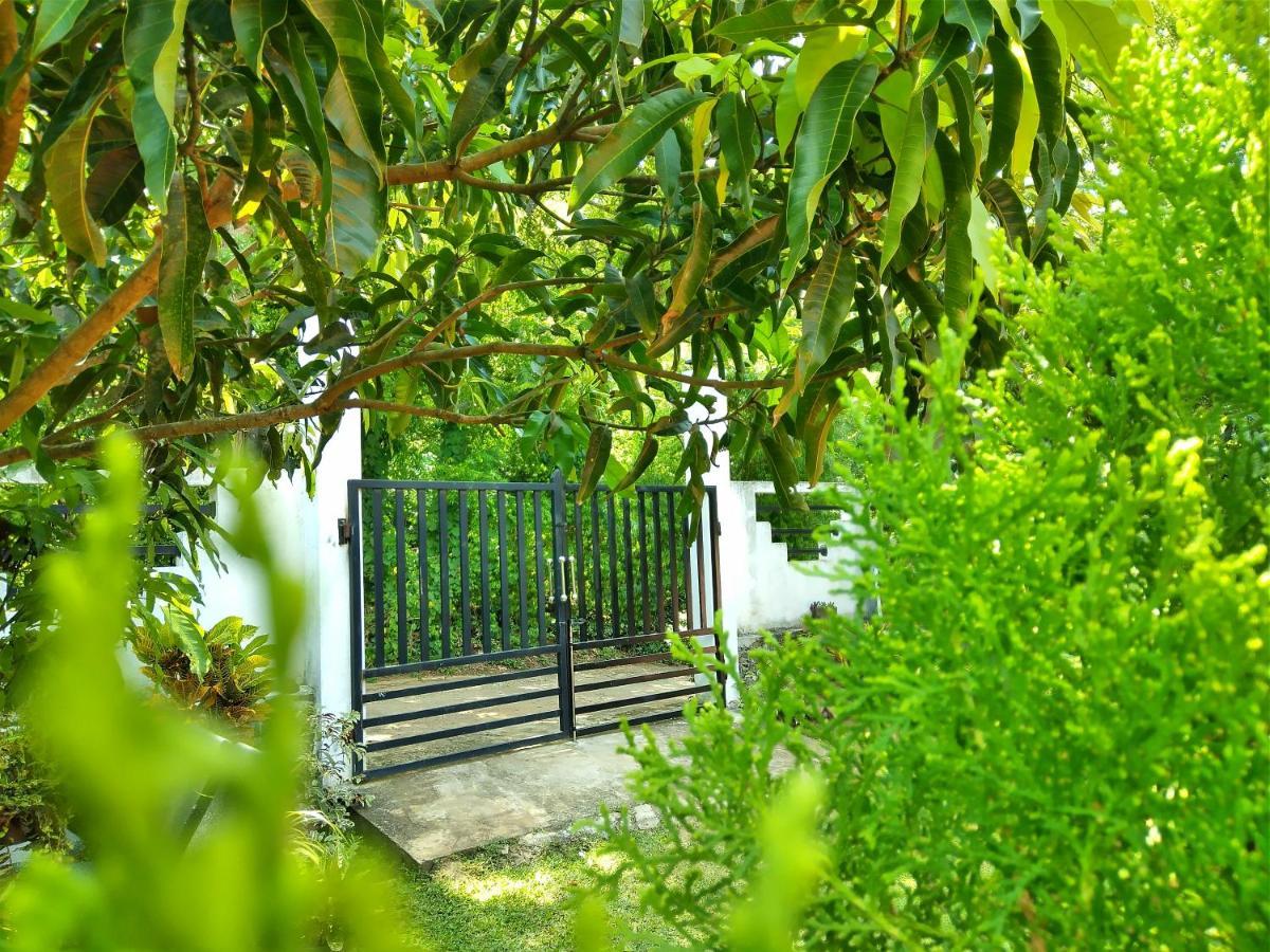 טנגלה Sandhara Home Stay מראה חיצוני תמונה
